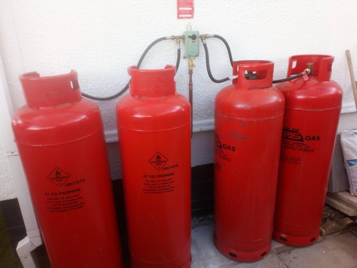 Company: Image 88